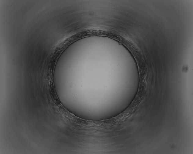 X0000090960870200708241150