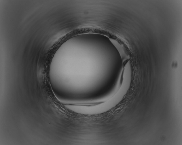 X0000090960872200708241150