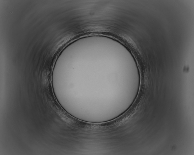 X0000090960873200708241150