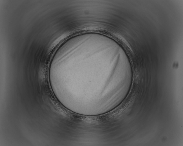 X0000090960874200708241150