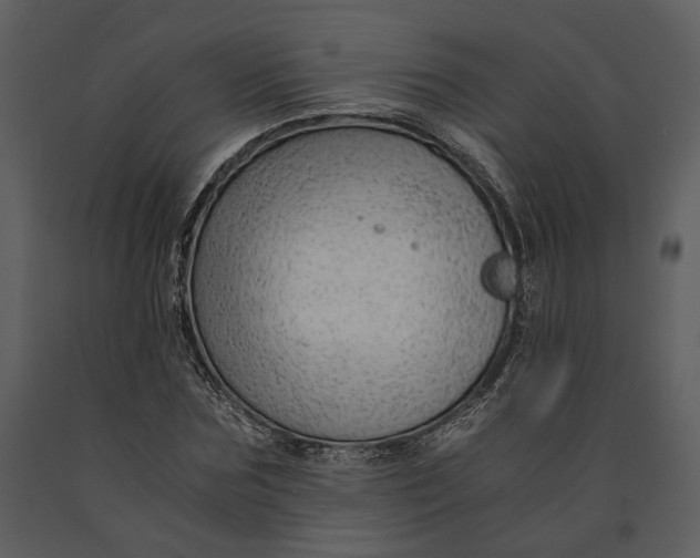 X0000090960875200708241150