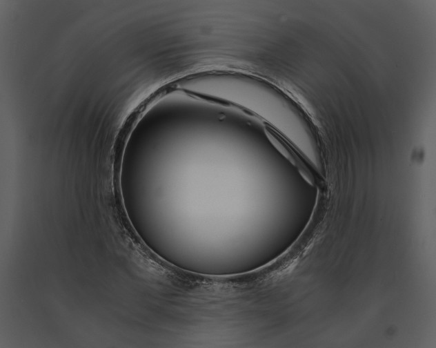 X0000090960877200708241150