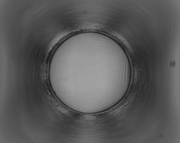X0000090960878200708241150