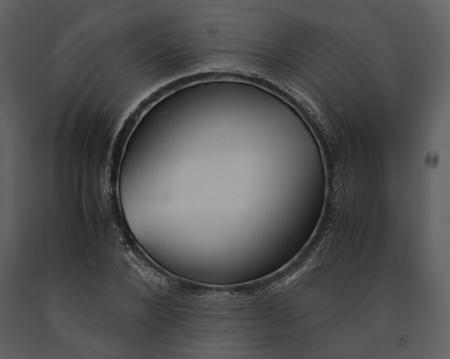 X0000090960880200708241150