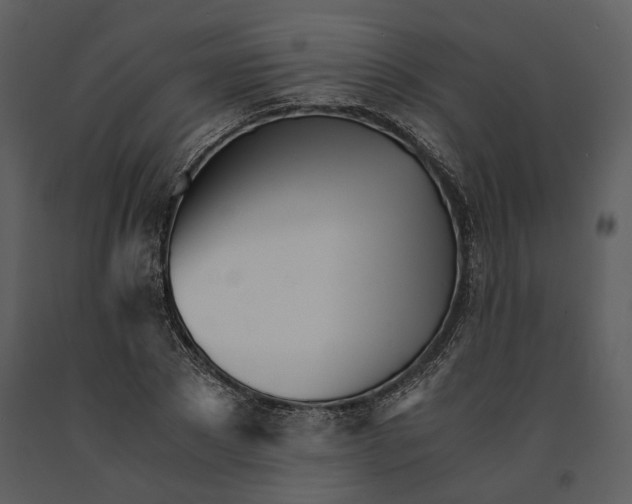 X0000090960881200708241150