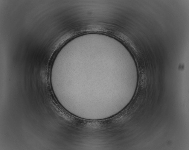 X0000090960882200708241150
