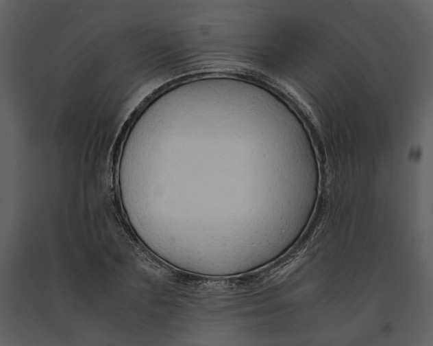 X0000090960883200708241150