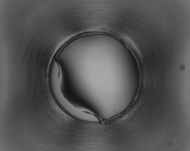 X0000090960884200708241150