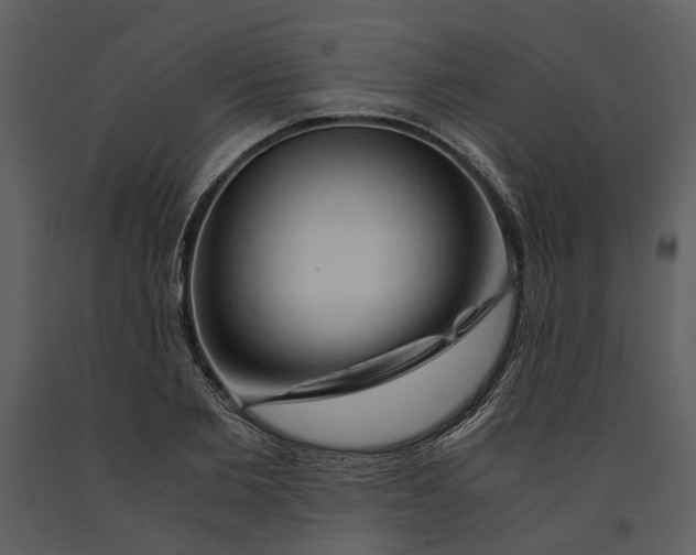 X0000090960885200708241150