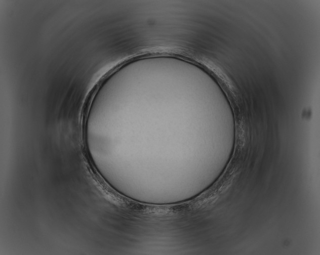 X0000090960886200708241150