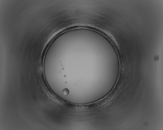 X0000090960887200708241150