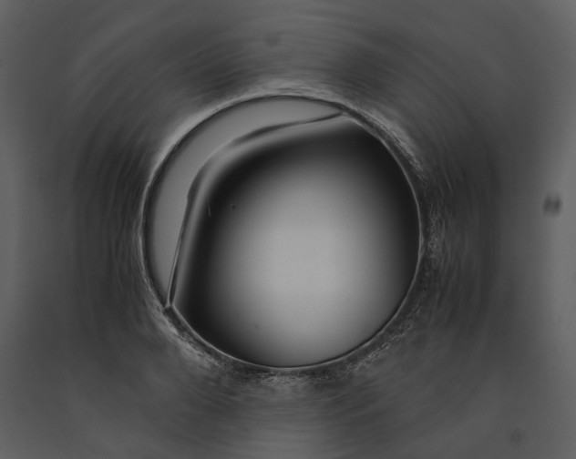 X0000090960888200708241150
