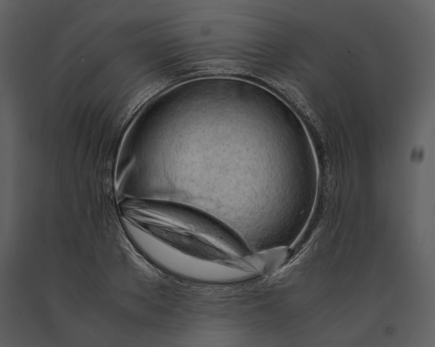 X0000090960889200708241150