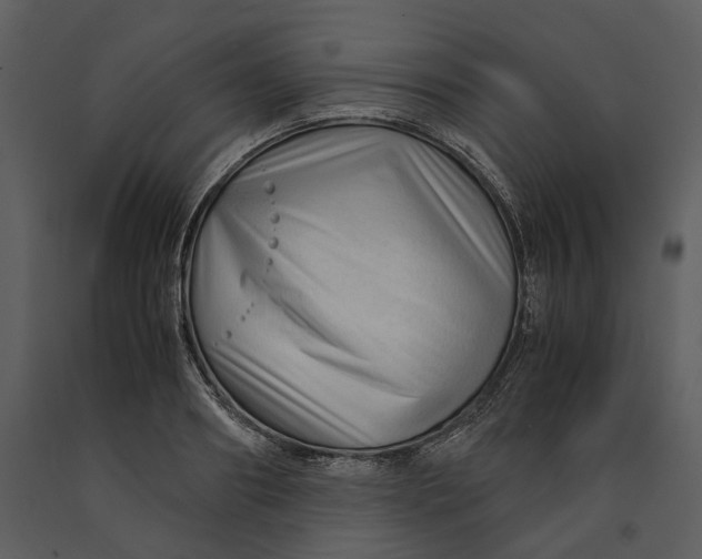X0000090960890200708241150