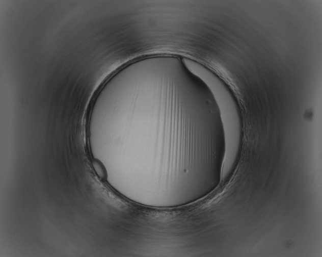 X0000090960892200708241150