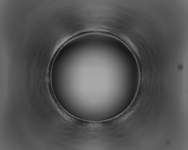 X0000090960893200708241150