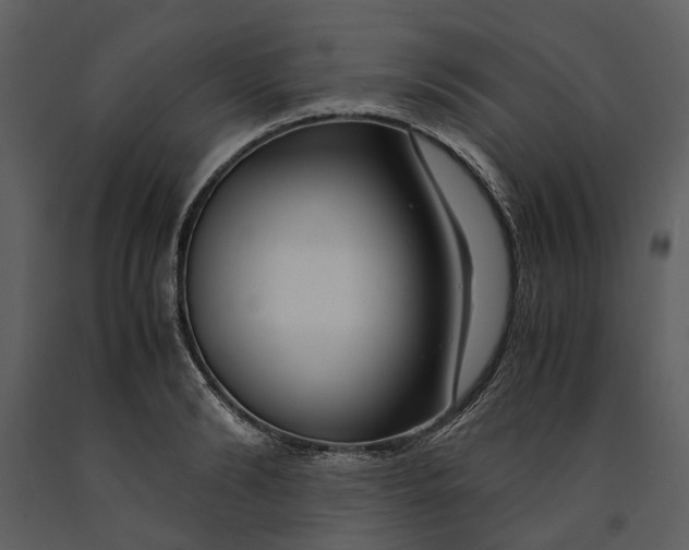X0000090960894200708241150
