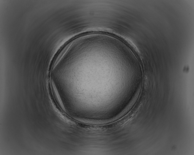 X0000090960895200708241149