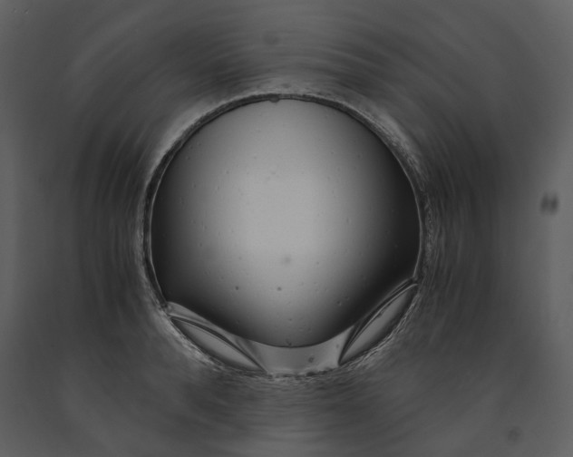 X0000090960896200708241149