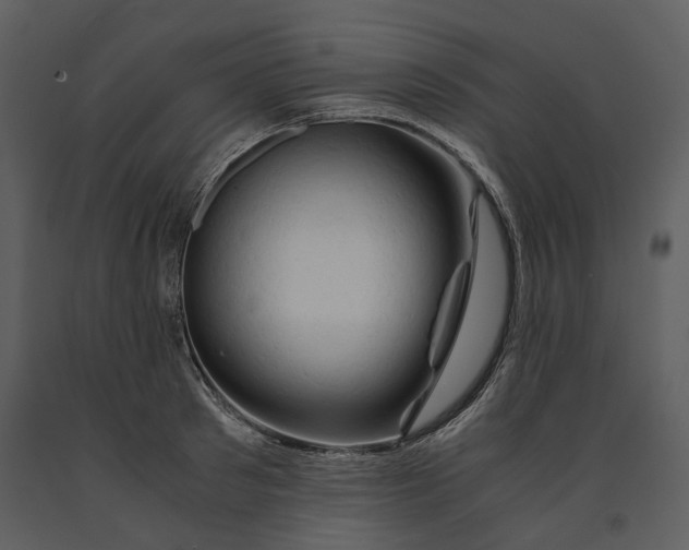 X0000090960897200708241149