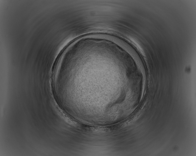 X0000090960899200708241149