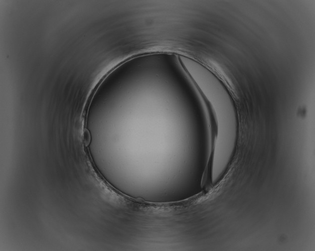 X0000090960900200708241149