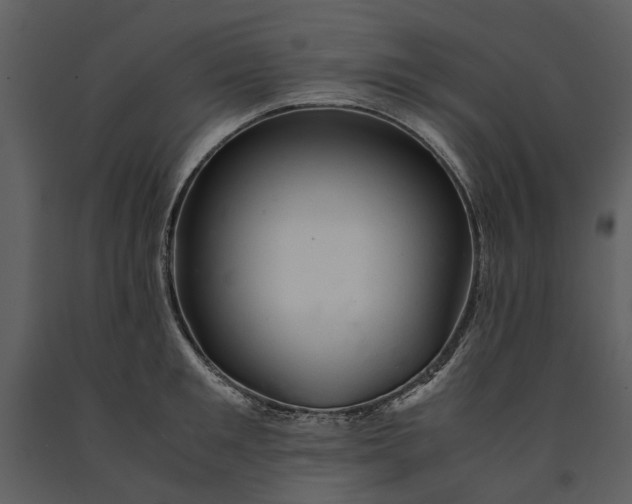 X0000090960901200708241149