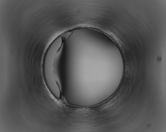 X0000090960902200708241149