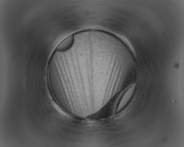 X0000090960903200708241149