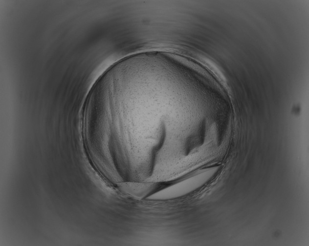 X0000090960907200708241149