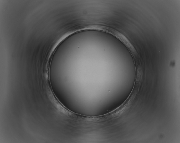 X0000090960908200708241149