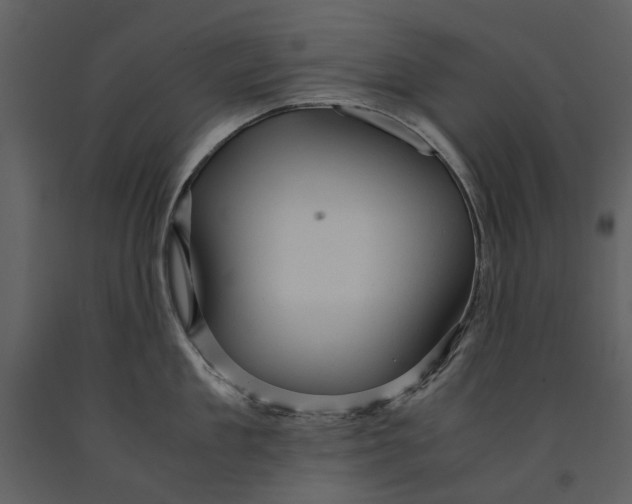 X0000090960909200708241149