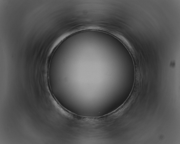 X0000090960910200708241149