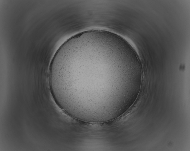 X0000090960911200708241149