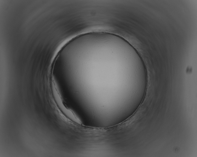 X0000090960912200708241149