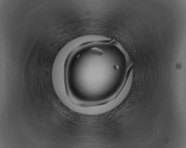 X0000090960914200708241149