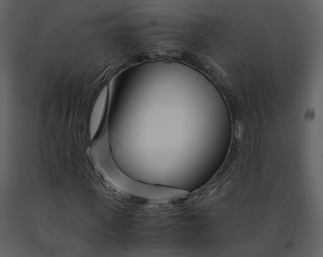 X0000090960915200708241149