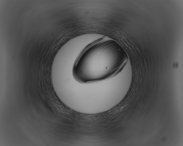 X0000090960916200708241149
