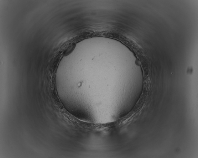 X0000090960917200708241149