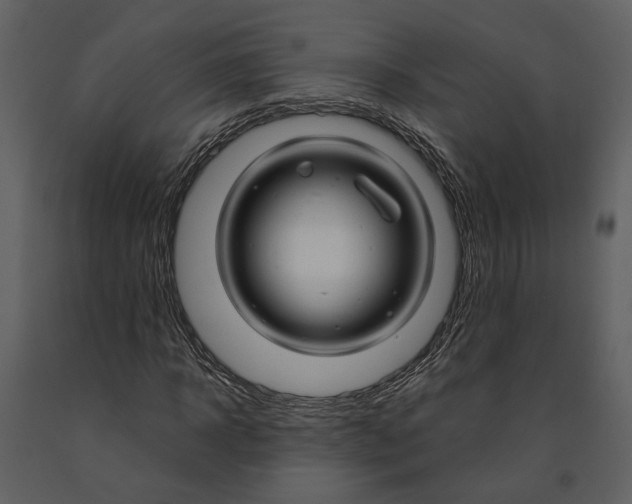 X0000090960918200708241149