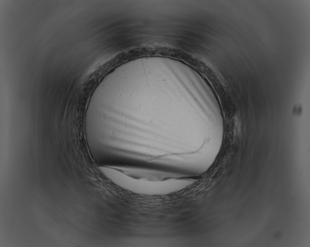 X0000090960919200708241149