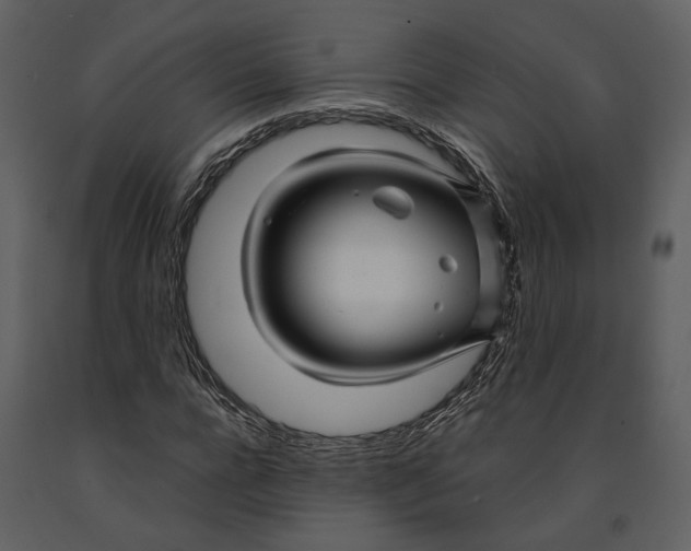 X0000090960920200708241149