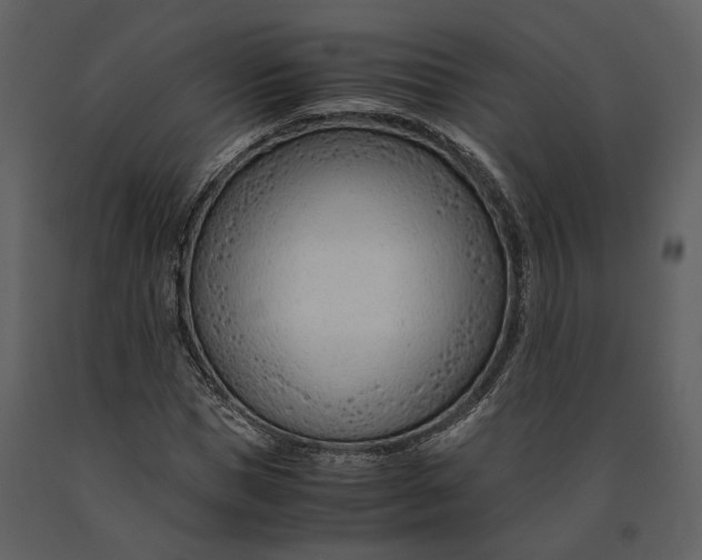 X0000090960921200708241149