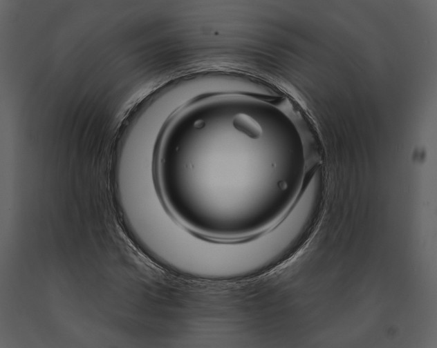 X0000090960922200708241149