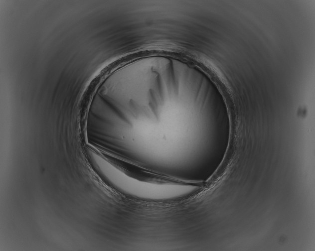 X0000090960923200708241149