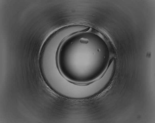 X0000090960924200708241149