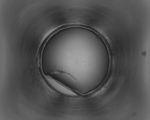 X0000090960925200708241149