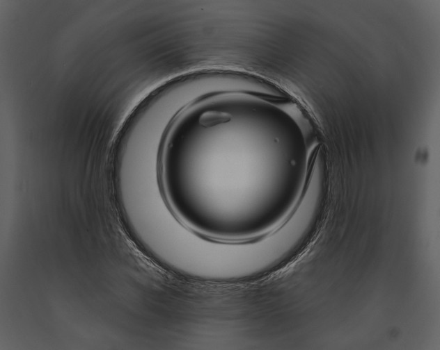 X0000090960926200708241149