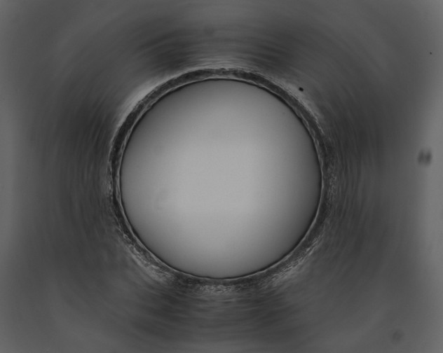 X0000090960927200708241149