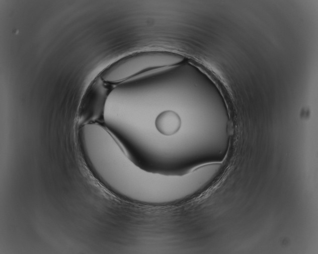 X0000090960928200708241149